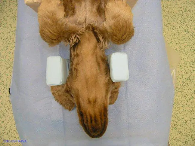 Pomůcka CSO veterinární polohovací - Podkova velká; 10.3.6