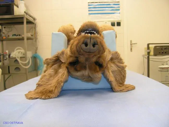 Pomůcka CSO veterinární polohovací - Podkova střední; 10.3.5