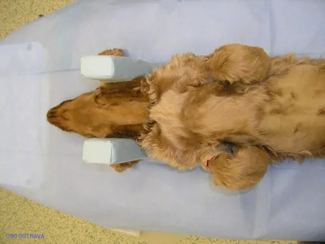 Pomůcka CSO veterinární polohovací - Podkova velká; 10.3.6