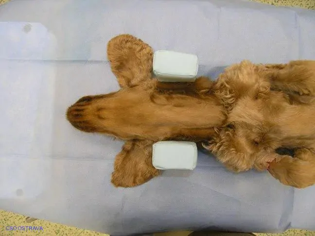 Pomůcka CSO veterinární polohovací - Podkova velká; 10.3.6